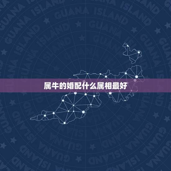 属牛的婚配什么属相最好 属牛的最佳婚配 属牛的婚配什么属相最好 属牛的最佳婚配