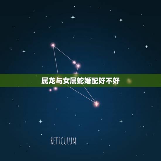属龙与女属蛇婚配好不好，属蛇的人女人跟什么属相最配呀？