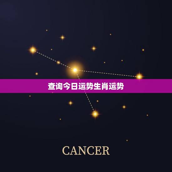 查询今日运势生肖运势，2022 年十二生肖每日运势