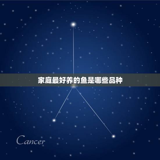 家庭最好养的鱼是哪些品种，家庭养哪种观赏鱼好.必须好养的鱼