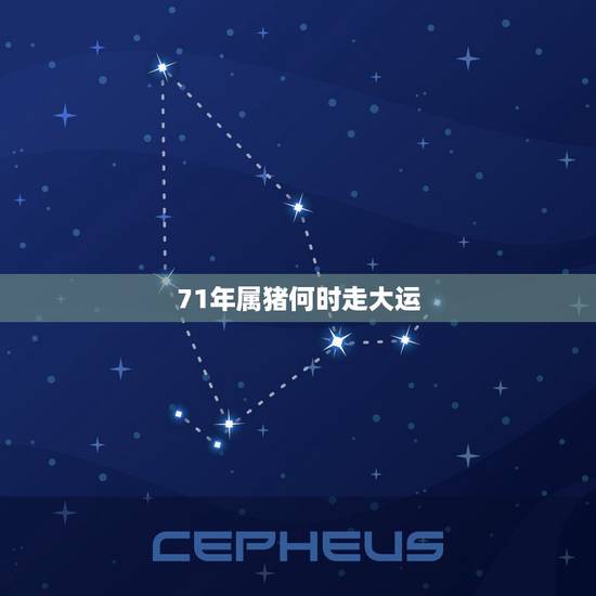 71年属猪何时走大运，71属猪的人十年大运