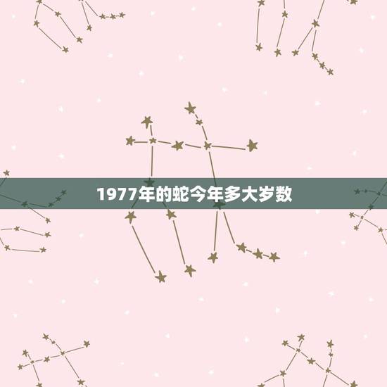1977年的蛇今年多大岁数,1977年属蛇的人寿命多大? 1977年的蛇今年多大岁数,1977年属蛇的人寿命多大?