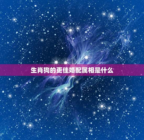 生肖狗的更佳婚配属相是什么，属狗的和什么婚配更好