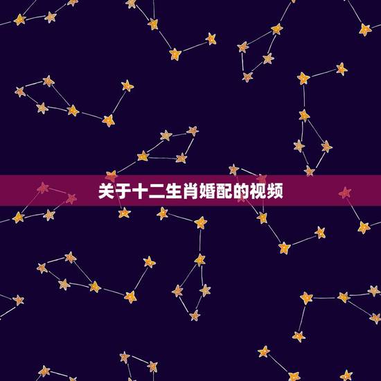 关于十二生肖婚配的视频，十二生肖的配对