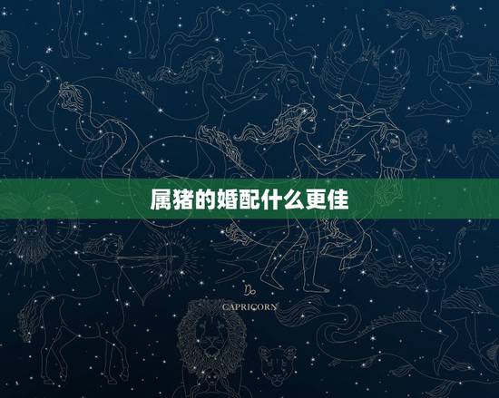 属猪的婚配什么更佳,83年属猪人三大坎 属猪的婚配什么更佳,83年属猪人三大坎