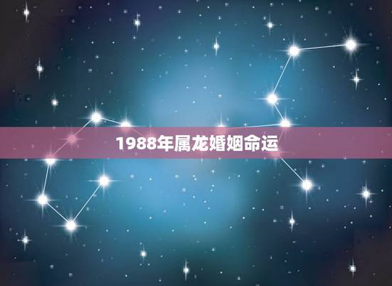 1988年属龙婚姻命运，88年属龙男的婚姻感情怎样