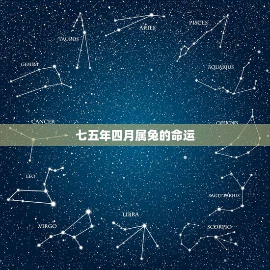 七五年四月属兔的命运，2011年属兔几点出生更好