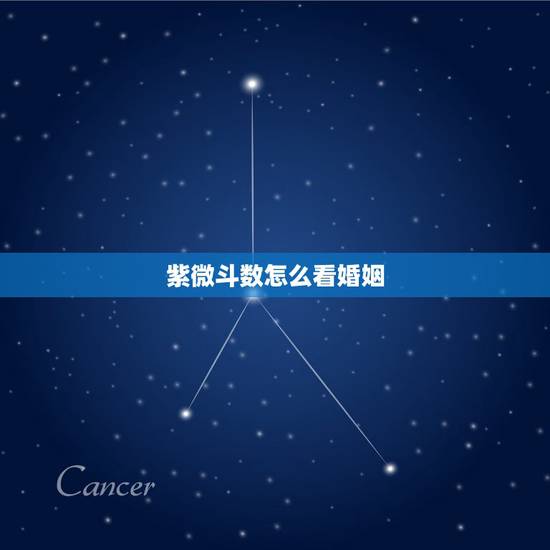 紫微斗数怎么看婚姻,求高人看紫微斗数命盘,主要看感情和婚姻……什么时候 紫微斗数怎么看婚姻,求高人看紫微斗数命盘,主要看感情和婚姻……什么时候