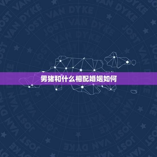 男猪和什么相配婚姻如何,95年属猪的三大坎 男猪和什么相配婚姻如何,95年属猪的三大坎