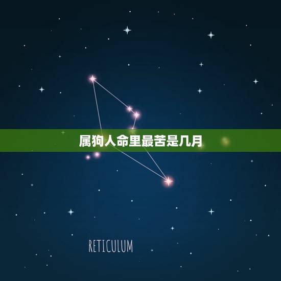 属狗人命里最苦是几月,属狗女几月出生命不好 属狗人命里最苦是几月,属狗女几月出生命不好