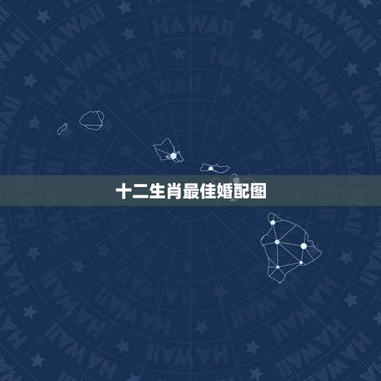 十二生肖最佳婚配图,十二生肖最佳配对表格 十二生肖最佳婚配图,十二生肖最佳配对表格