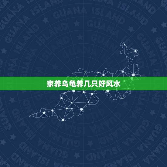 家养乌龟养几只好风水,乌龟养几只比较吉利? 家养乌龟养几只好风水,乌龟养几只比较吉利?