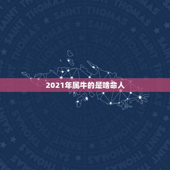 2021年属牛的是啥命人，2021年什么命