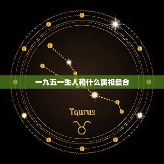 一九五一生人和什么属相最合，一九五一年属什么生肖