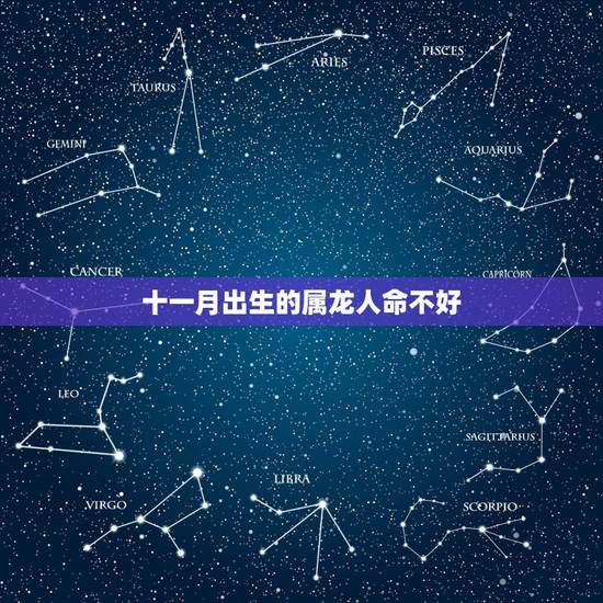 十一月出生的属龙人命不好，属龙2022 年运势