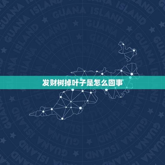 发财树掉叶子是怎么回事，发财树掉叶是怎么回事？