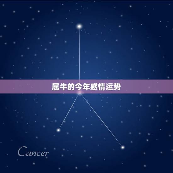 属牛的今年感情运势，属牛下半年感情运势