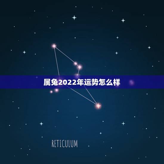 属兔2022年运势怎么样,属兔2022 年幸运色是什么颜色 属兔2022年运势怎么样,属兔2022 年幸运色是什么颜色