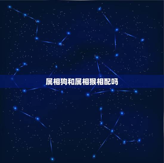 属相狗和属相猴相配吗，今年是狗年，狗和什么属相般配