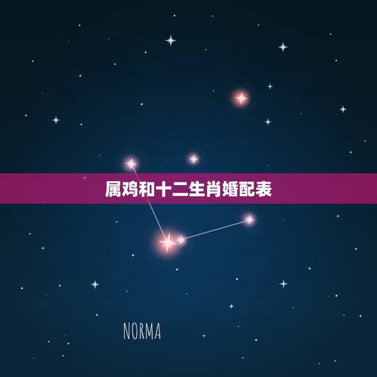 属鸡和十二生肖婚配表,属鸡的更佳婚配表 属鸡和十二生肖婚配表,属鸡的更佳婚配表