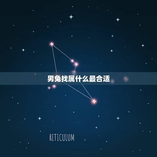 男兔找属什么最合适，1987每属兔一生有二婚