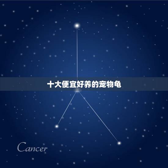 十大便宜好养的宠物龟，什么宠物容易养啊？乌龟容易养吗？