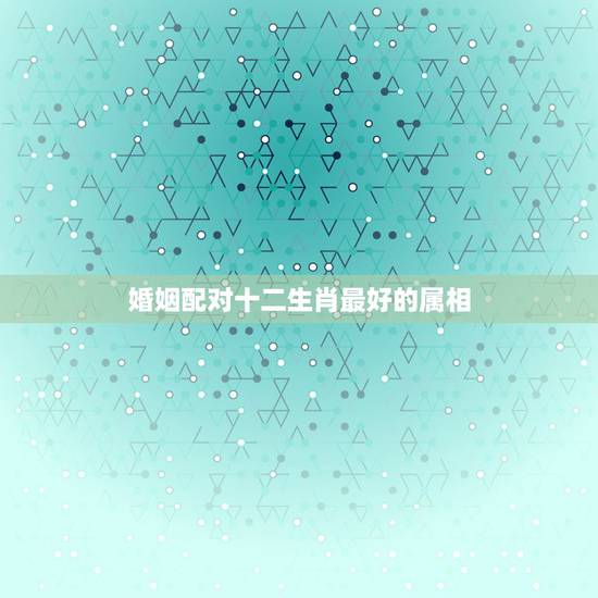 婚姻配对十二生肖最好的属相，十二生肖中什么生肖结婚最般配呢？