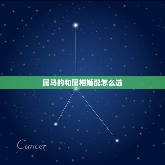 属马的和属相婚配怎么选，属马的和什么属相最配