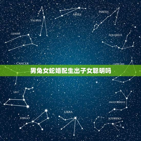 男兔女蛇婚配生出子女聪明吗,男兔女蛇配婚姻会怎么样 男兔女蛇婚配生出子女聪明吗,男兔女蛇配婚姻会怎么样