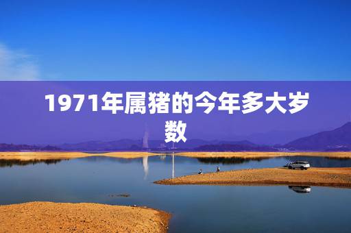 1971年属猪的今年多大岁数,1971年出生今年多大了 1971年属猪的今年多大岁数,1971年出生今年多大了