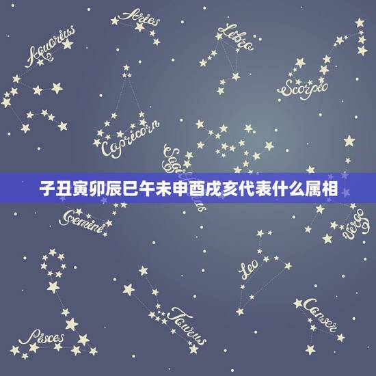 子丑寅卯辰巳午未申酉戌亥代表什么属相，子丑寅卯辰巳午未申酉戌亥哪些是阳