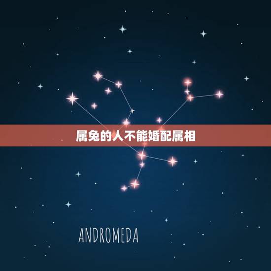 属兔的人不能婚配属相,属兔的人,跟什么,属相,相克。 属兔的人不能婚配属相,属兔的人,跟什么,属相,相克。