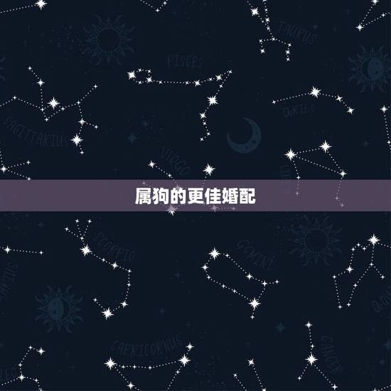 属狗的更佳婚配,属狗的更佳配偶属相 属狗的更佳婚配,属狗的更佳配偶属相