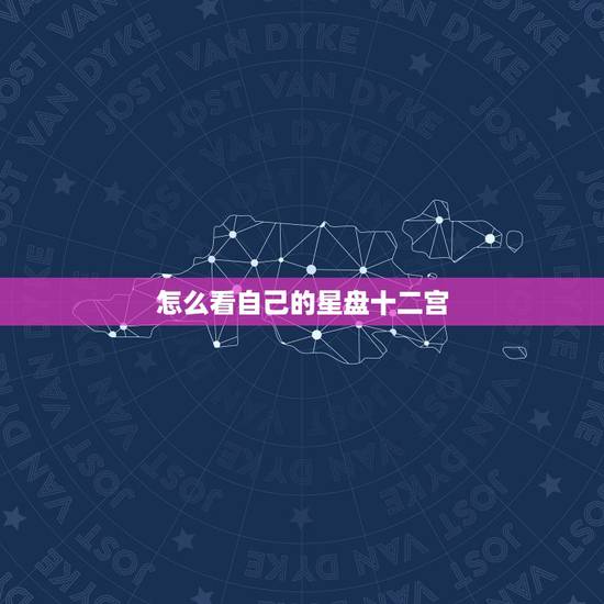 怎么看自己的星盘十二宫，怎样查询自己的星座十二宫啊？
