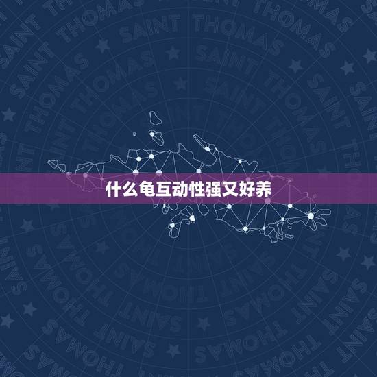 什么龟互动性强又好养,什么龟互动性强,生命力强?水龟 什么龟互动性强又好养,什么龟互动性强,生命力强?水龟