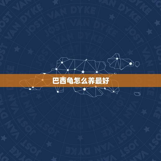 巴西龟怎么养最好，巴西龟怎么养最好