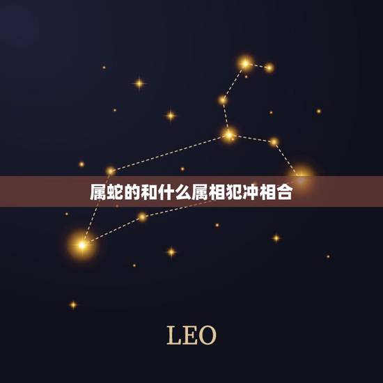 属蛇的和什么属相犯冲相合，★属蛇的人和什么属相相合？