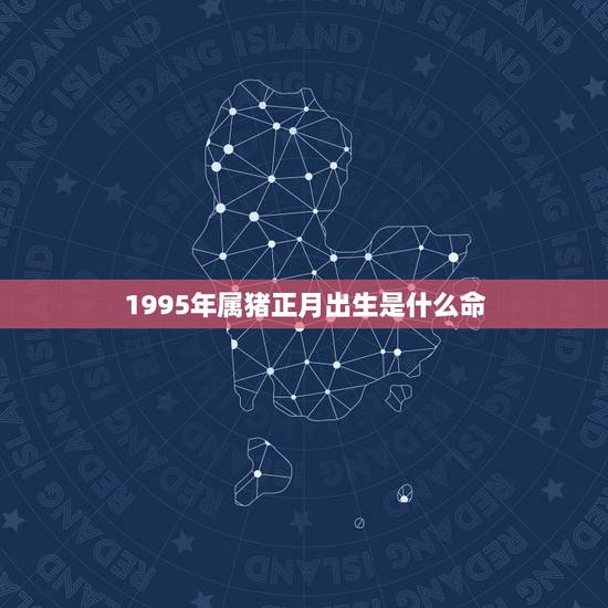 1995年属猪正月出生是什么命，属猪人命最苦是几月