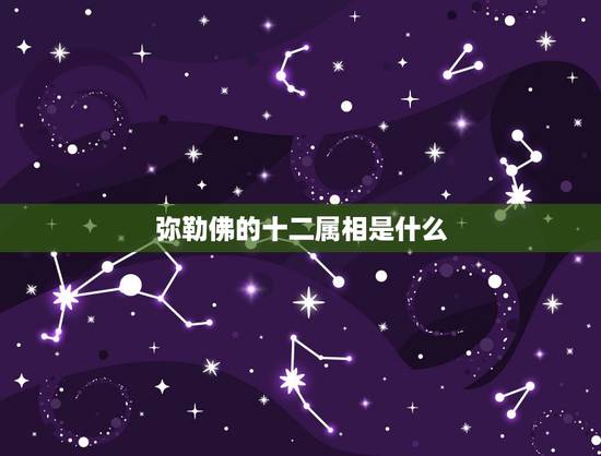 弥勒佛的十二属相是什么，弥勒代表什么生肖