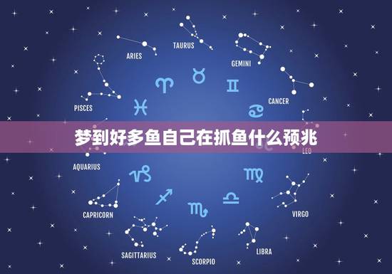 梦到好多鱼自己在抓鱼什么预兆，梦见好多鱼自己在抓鱼