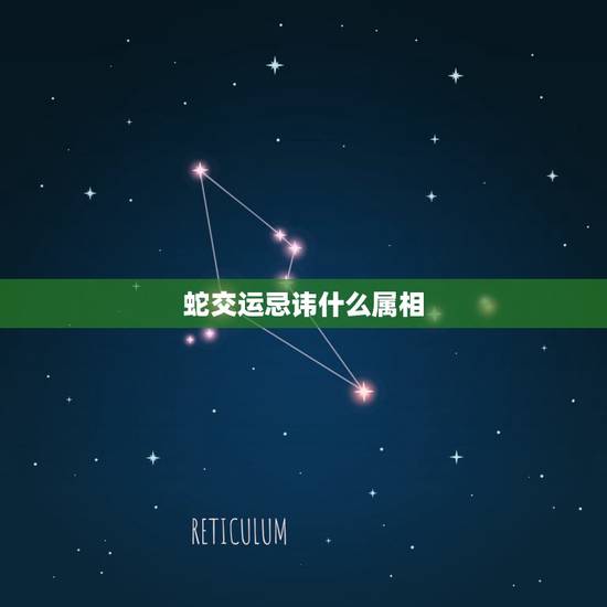 蛇交运忌讳什么属相,属蛇的老人出殡忌讳什么属相 蛇交运忌讳什么属相,属蛇的老人出殡忌讳什么属相