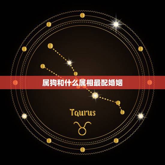 属狗和什么属相最配婚姻,狗的属相和哪个属相最配 属狗和什么属相最配婚姻,狗的属相和哪个属相最配