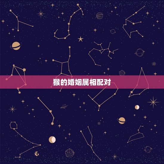 猴的婚姻属相配对，属蛇男与属猴女的姻缘