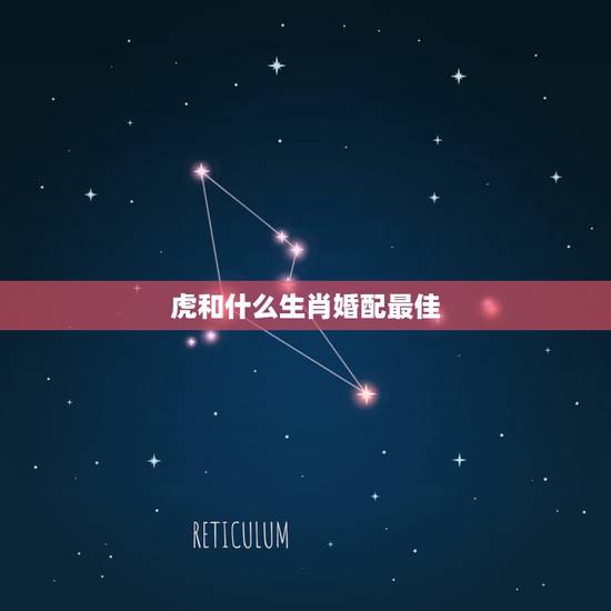 虎和什么生肖婚配最佳,属虎的和什么属相最配 属相婚配 虎和什么生肖婚配最佳,属虎的和什么属相最配 属相婚配