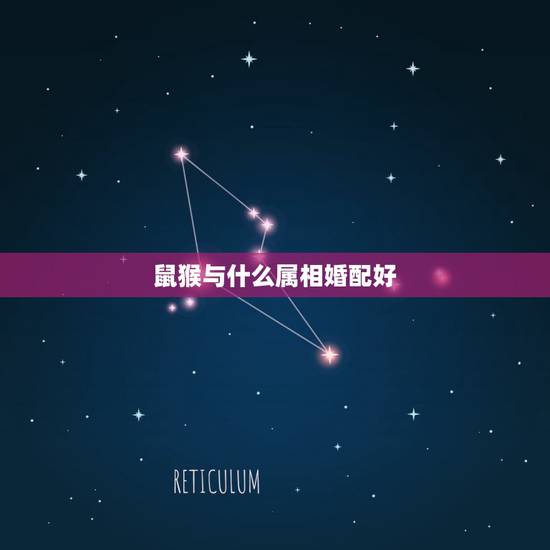 鼠猴与什么属相婚配好，属猴和属猴的能婚配吗