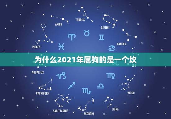 为什么2021年属狗的是一个坎，2021属狗的全年运势