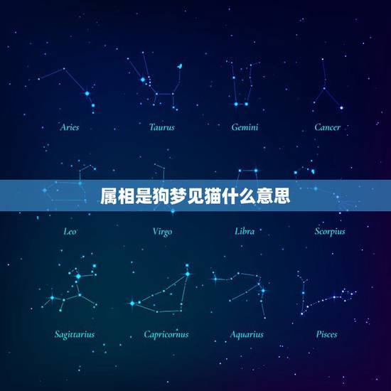 属相是狗梦见猫什么意思，梦到猫和狗 是什么意思啊？