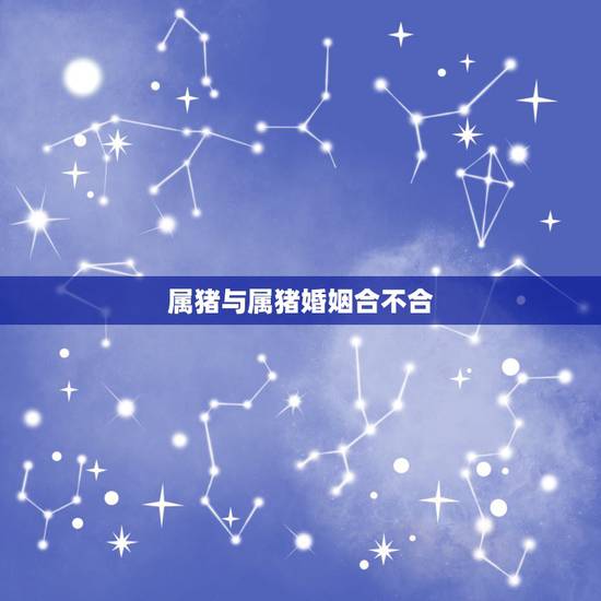 属猪与属猪婚姻合不合,属猪的相配吗 属兔和属猪的婚姻合不合 属猪与属猪婚姻合不合,属猪的相配吗 属兔和属猪的婚姻合不合