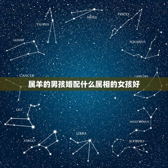 属羊的男孩婚配什么属相的女孩好,91年农历十月十六属羊的女孩和什么属相 属羊的男孩婚配什么属相的女孩好,91年农历十月十六属羊的女孩和什么属相