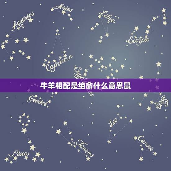 牛羊相配是绝命什么意思鼠，牛没得鼠要命 这句话是什么意思？